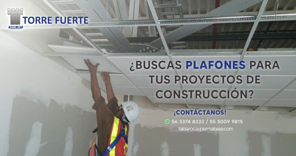 BUSCAS PLAFONES PARA TUS PROYECTOS DE CONSTRUCCION jpg
